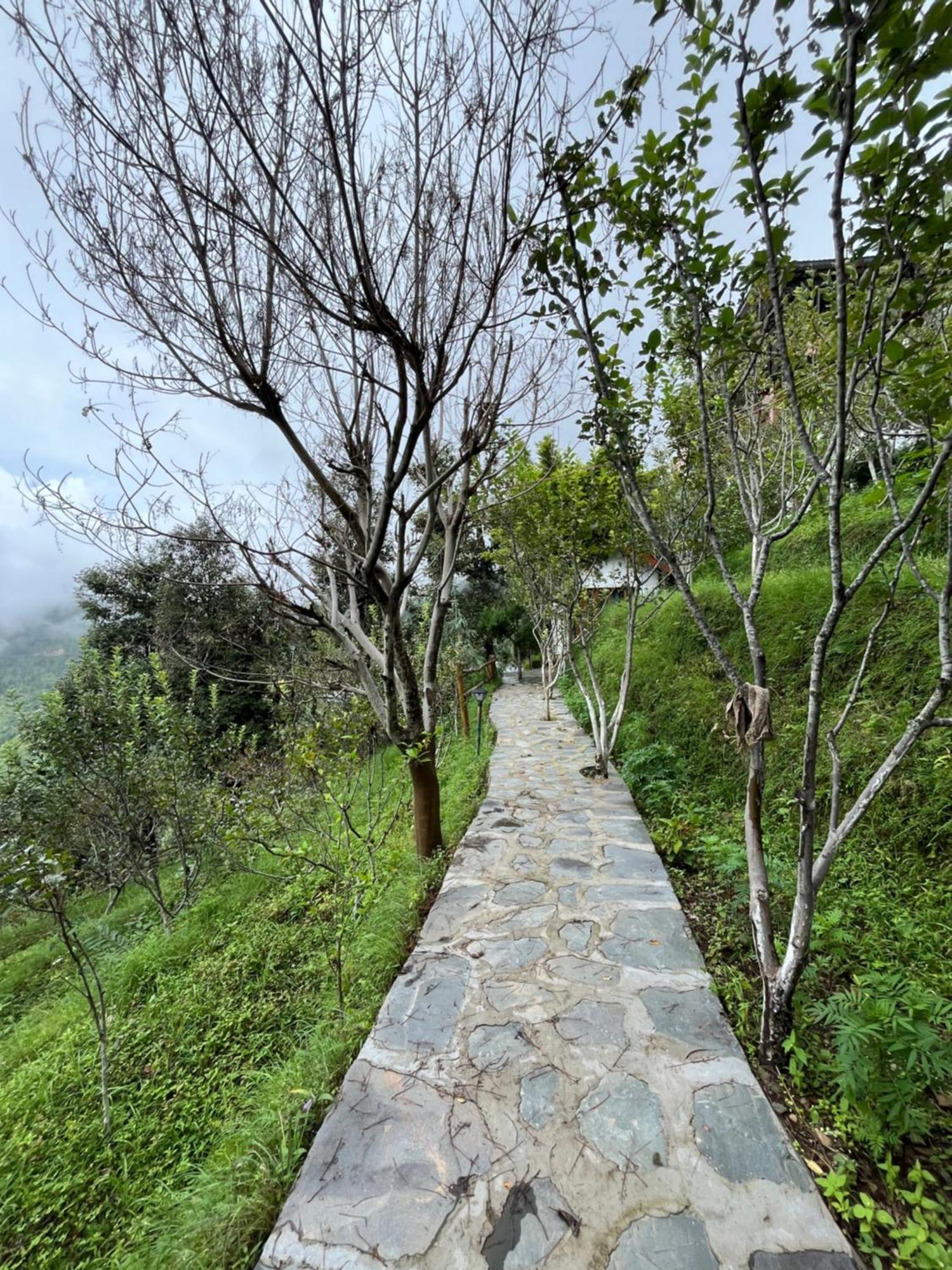 Apple Garden Cottages And Restaurant Dhanaulti Exterior foto